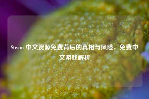 Steam 中文资源免费背后的真相与风险，免费中文游戏解析