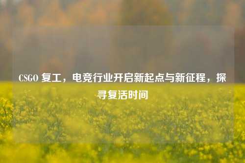 CSGO 复工，电竞行业开启新起点与新征程，探寻复活时间