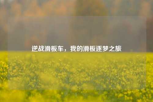 逆战滑板车,我的滑板逐梦之旅