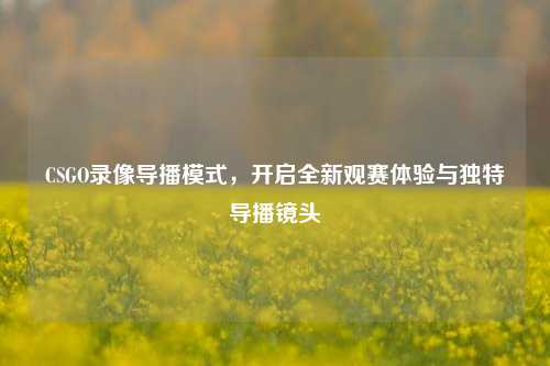 CSGO录像导播模式，开启全新观赛体验与独特导播镜头