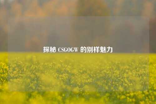 探秘 CSGOGW 的别样魅力