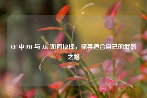 CF 中 M4 与 AK 如何抉择,探寻适合自己的武器之路