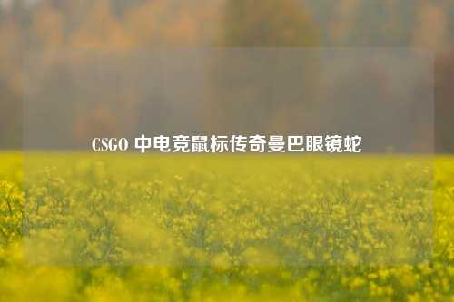 CSGO 中电竞鼠标传奇曼巴眼镜蛇