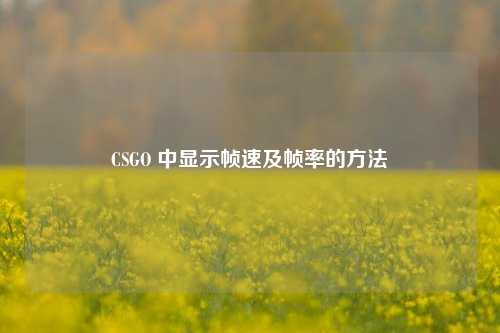 CSGO 中显示帧速及帧率的方法