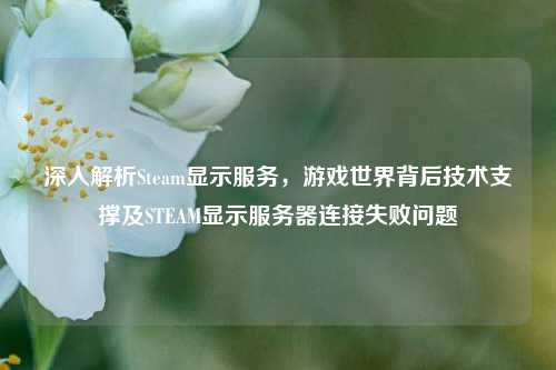 深入解析Steam显示服务,游戏世界背后技术支撑及STEAM显示服务器连接失败问题