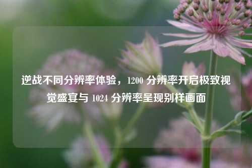 逆战不同分辨率体验,1200 分辨率开启极致视觉盛宴与 1024 分辨率呈现别样画面