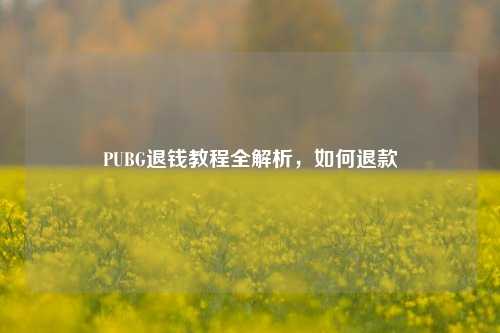 PUBG退钱教程全解析,如何退款