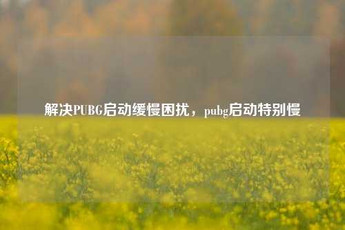 解决PUBG启动缓慢困扰,pubg启动特别慢