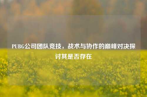 PUBG公司团队竞技,战术与协作的巅峰对决探讨其是否存在