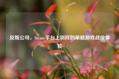 反叛公司,Steam平台上别样的策略游戏战役体验