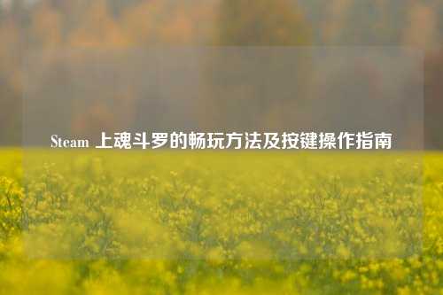 Steam 上魂斗罗的畅玩方法及按键操作指南