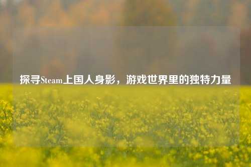 探寻Steam上国人身影，游戏世界里的独特力量