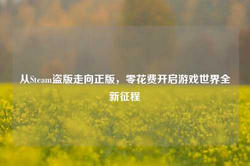 从Steam盗版走向正版,零花费开启游戏世界全新征程