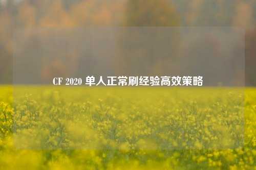 CF 2020 单人正常刷经验高效策略