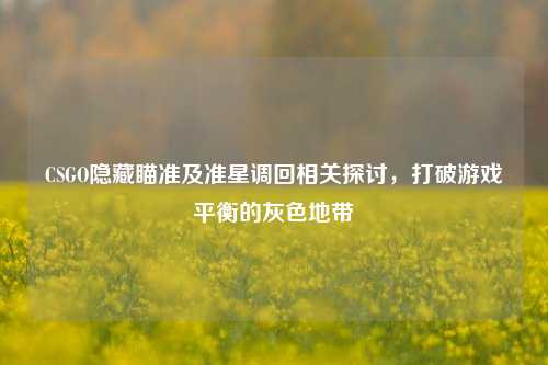 CSGO隐藏瞄准及准星调回相关探讨，打破游戏平衡的灰色地带