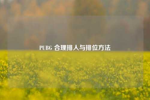 PUBG 合理排人与排位方法