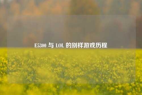 E5300 与 LOL 的别样游戏历程