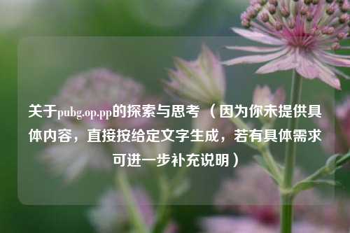 关于pubg.op.pp的探索与思考 (因为你未提供具体内容,直接按给定文字生成,若有具体需求可进一步补充说明)