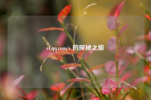 cf.qq.com/v 的探秘之旅