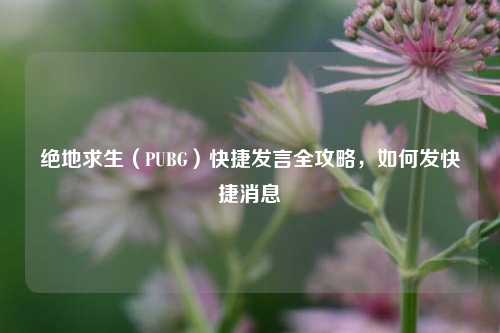 绝地求生（PUBG）快捷发言全攻略，如何发快捷消息