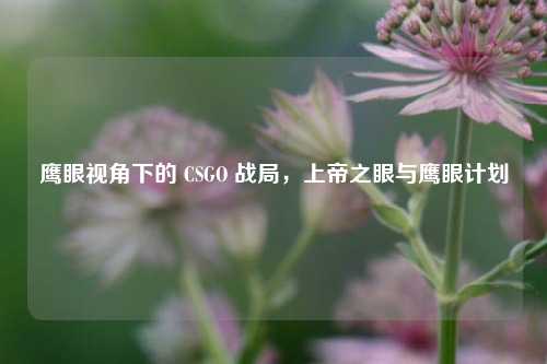 鹰眼视角下的 CSGO 战局，上帝之眼与鹰眼计划