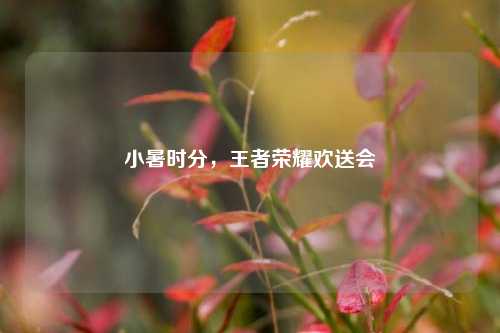小暑时分,王者荣耀欢送会