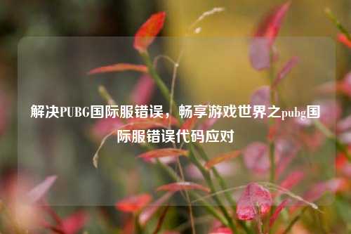 解决PUBG国际服错误，畅享游戏世界之pubg国际服错误代码应对