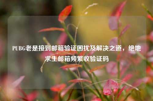 PUBG老是接到邮箱验证困扰及解决之道,绝地求生邮箱频繁收验证码