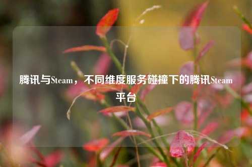 腾讯与Steam,不同维度服务碰撞下的腾讯Steam平台