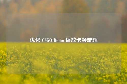 优化 CSGO Demo 播放卡顿难题