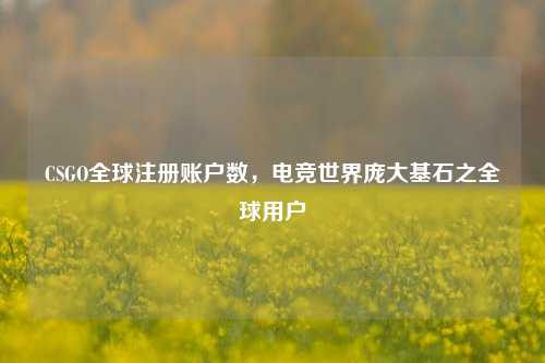 CSGO全球注册账户数,电竞世界庞大基石之全球用户