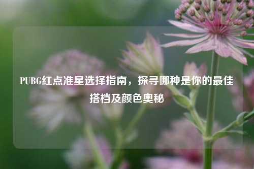 PUBG红点准星选择指南,探寻哪种是你的最佳搭档及颜色奥秘