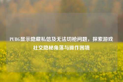 PUBG显示隐藏私信及无法切枪问题,探索游戏社交隐秘角落与操作困境