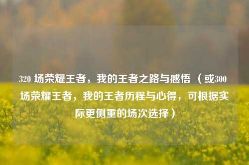 320 场荣耀王者,我的王者之路与感悟 (或300 场荣耀王者,我的王者历程与心得,可根据实际更侧重的场次选择)