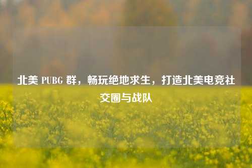 北美 PUBG 群,畅玩绝地求生,打造北美电竞社交圈与战队