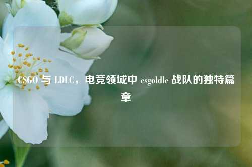 CSGO 与 LDLC,电竞领域中 csgoldlc 战队的独特篇章