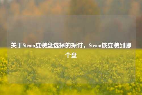关于Steam安装盘选择的探讨,Steam该安装到哪个盘