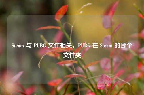 Steam 与 PUBG 文件相关,PUBG 在 Steam 的哪个文件夹