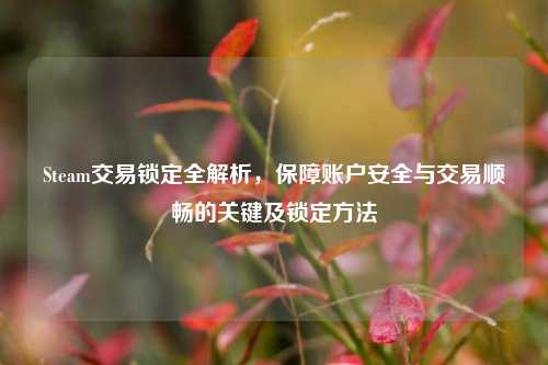 Steam交易锁定全解析，保障账户安全与交易顺畅的关键及锁定方法