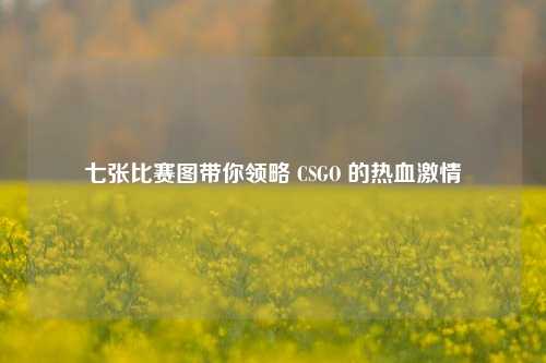 七张比赛图带你领略 CSGO 的热血激情