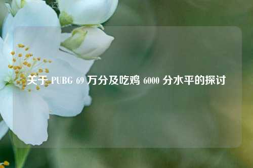 关于 PUBG 69 万分及吃鸡 6000 分水平的探讨