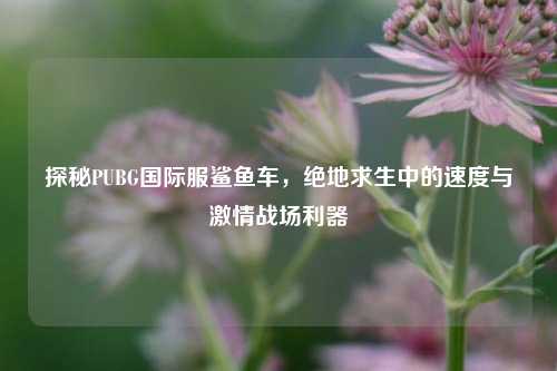 探秘PUBG国际服鲨鱼车,绝地求生中的速度与激情战场利器