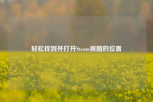 轻松找到并打开Steam视图的位置