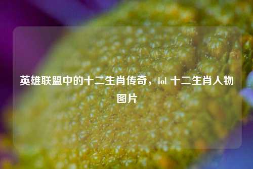 英雄联盟中的十二生肖传奇,lol 十二生肖人物图片