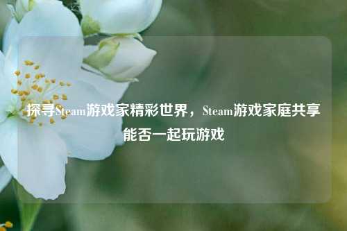 探寻Steam游戏家精彩世界，Steam游戏家庭共享能否一起玩游戏