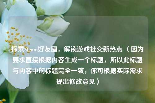探索Steam好友圈,解锁游戏社交新热点 (因为要求直接根据内容生成一个标题,所以此标题与内容中的标题完全一致,你可根据实际需求提出修改意见)