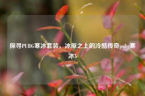 探寻PUBG寒冰套装，冰原之上的冷酷传奇pubg寒冰5