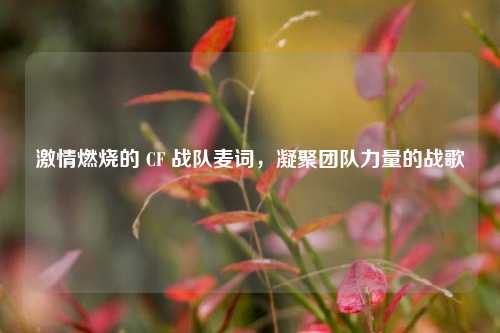 激情燃烧的 CF 战队麦词,凝聚团队力量的战歌