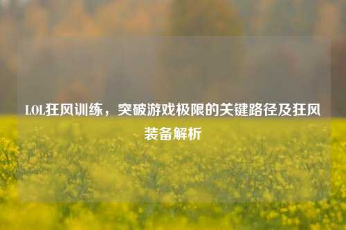 LOL狂风训练,突破游戏极限的关键路径及狂风装备解析