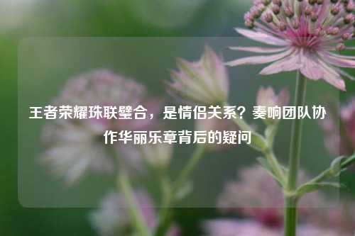 王者荣耀珠联璧合,是情侣关系?奏响团队协作华丽乐章背后的疑问